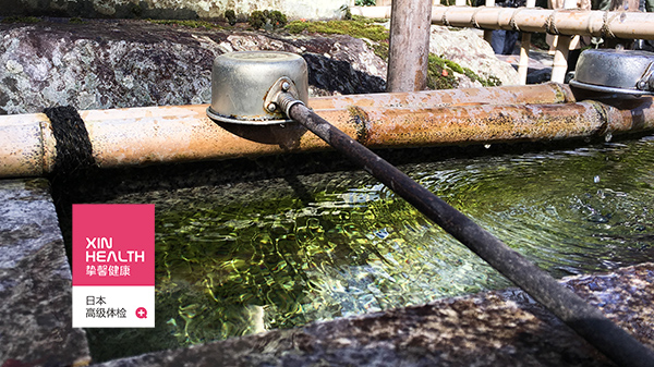 日本体检旅游京都寺院