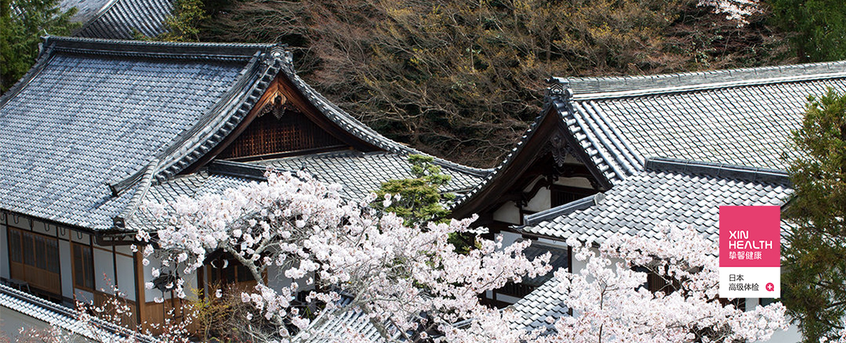 樱花季去日本体检和旅行