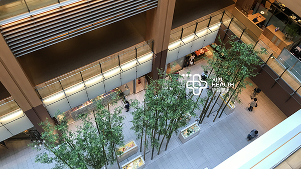 贴心医生日本体检机构所在大楼