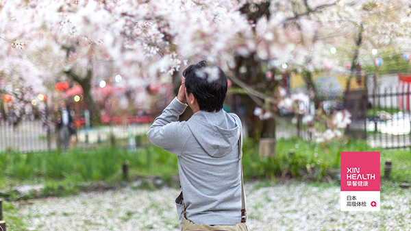 日本樱花节