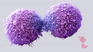 引起女性宫颈癌的 HPV 病毒，如何防治？