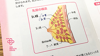 如何预防和早期发现女性乳腺癌？